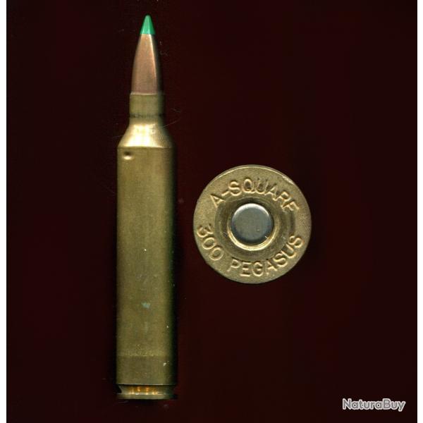 .300 Pegasus - calibre 30 le plus rapide du monde - marquage : A-SQUARE 300 PEGASUS