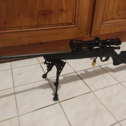 Carabine 22LR Savage B22F