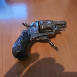 Revolver Bulldog