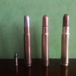 63 cartouches de 460 weatherby magnum