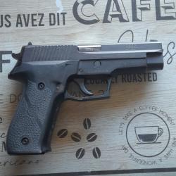 SIG SAUER 226