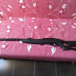 Carabine Gamo maxxim IGT