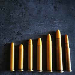 Fac-similé de 32-35 Maynard 1882, 35-30 Maynard 1882, 35-40, 40-60, 40-70, 45-100 Sharps, 303 Fraser