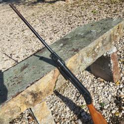 Carabine eureka diane