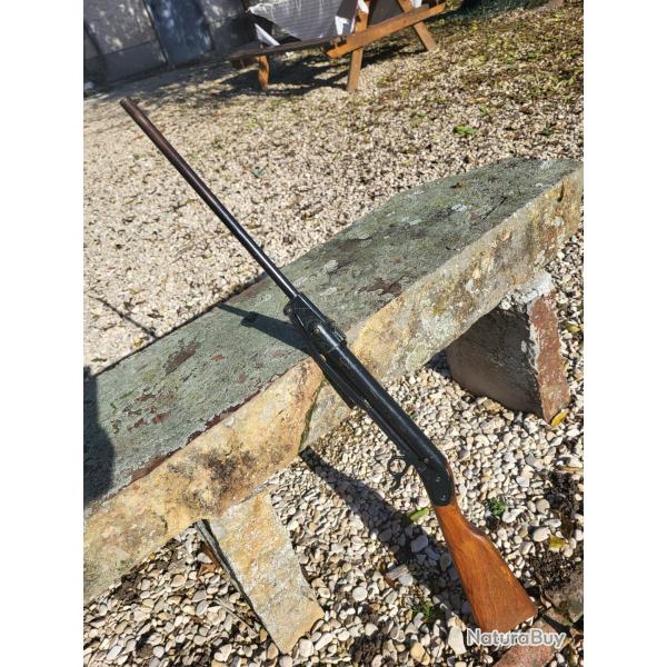 Carabine eureka diane