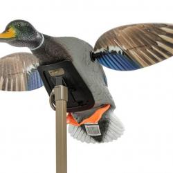 Appelant à ailes motorisées Mojo - Canard