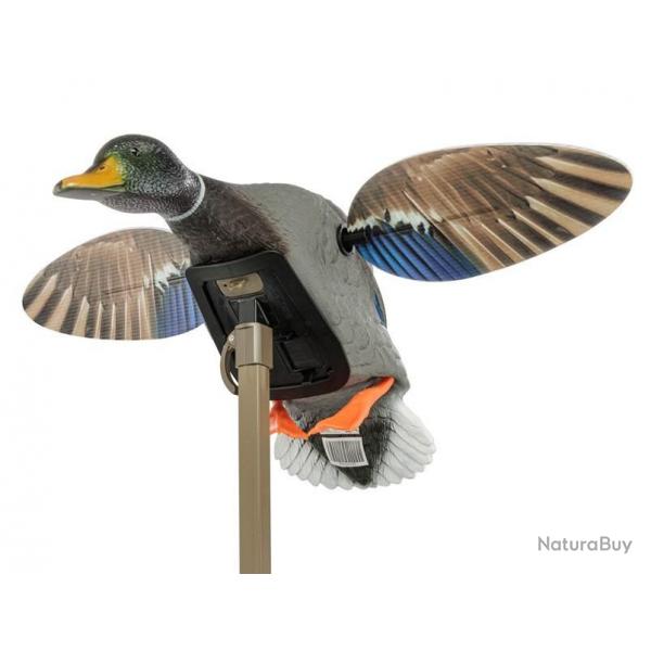 Appelant  ailes motorises Mojo - Canard