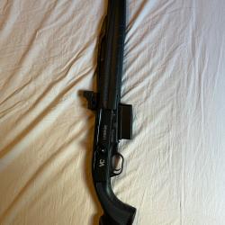 Carabine Verney carron linergie