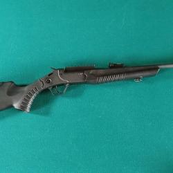 Carabine Montenegro Rossi 22LR