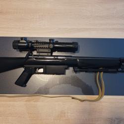 Squires Bingham M16 22lr, équipée lunette et laser