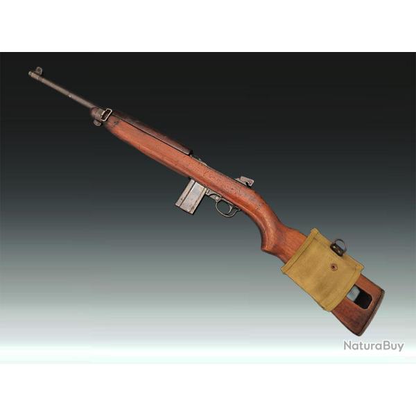 CARABINE USM1 NEUTRALISATION UE 2025 Categorie C