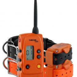 BF 25 !  Pack canicom 1500 pour deux chiens Num Axes