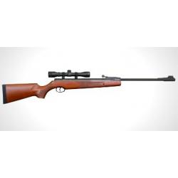 CARABINE EXPRESS BOIS C4.5 19.9J + LUNETTE 4X32