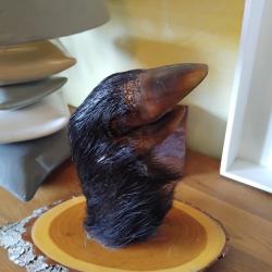 Porte manteau pied de sanglier naturalisé.