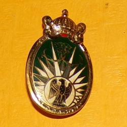 INSIGNE PARACHUTISTE :  13° Régiment de Dragons Parachutistes, émail, 1 boléro Drago , écu de dame v