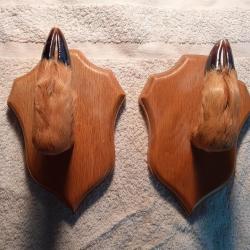 Porte fusil pied de chevreuil  N° A