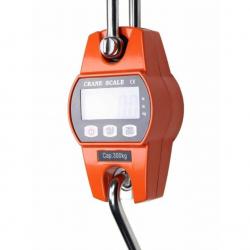 Peson électronique 300 kilos