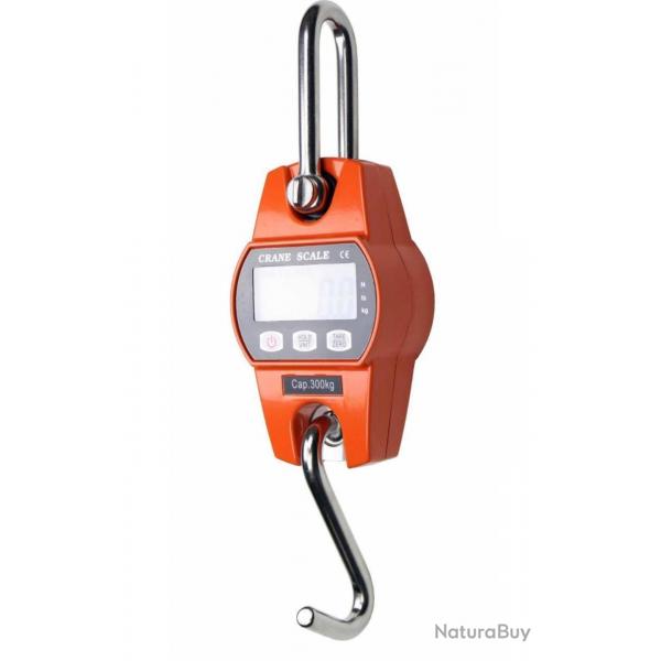 Peson électronique 300 kilos