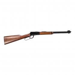 Carabine Henry Arms 001 22 LR  Occasion