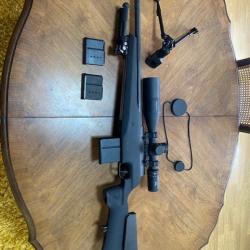 sig sauer SSG 3000 en 308 win