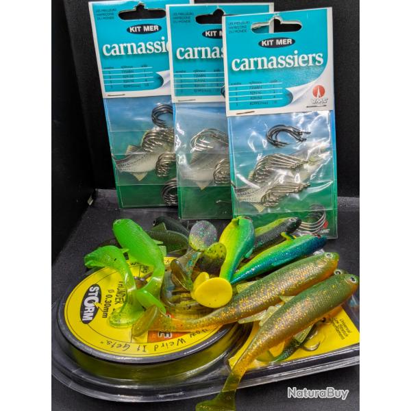 Lot 304 / Leurres Souple divers marques + VMC + STORM /  FISH AND FISHING.