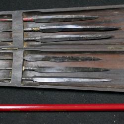 TAJIS de Sulawesi (Indonésie)