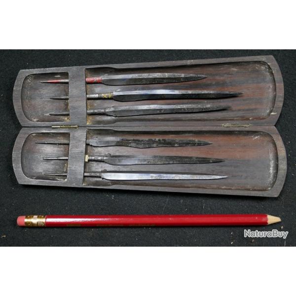 TAJIS de Sulawesi (Indonsie)