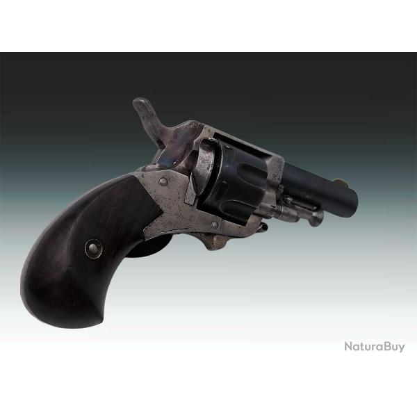 REVOLVER BULLDOG PUPPY CALIBRE 22 COURT SA DA - BELGIQUE XIX Categorie D