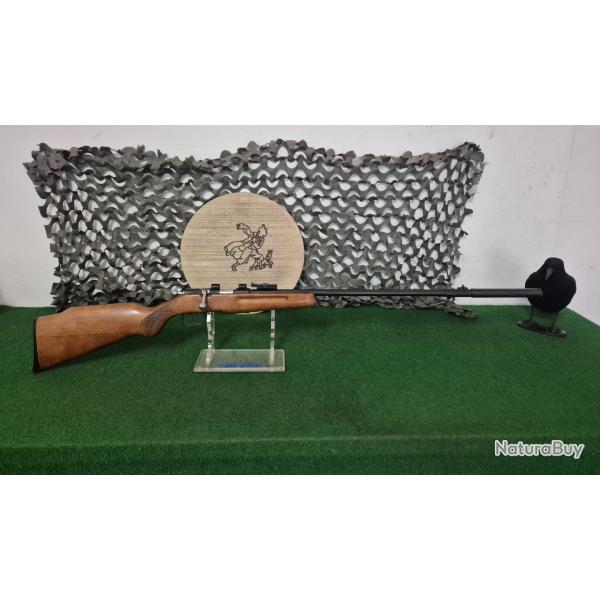 Carabine 5.5 22 court (avec silencieux)