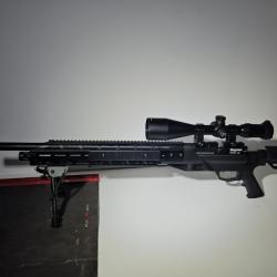 Crosman Armada pcp 5.5mm toute équipée