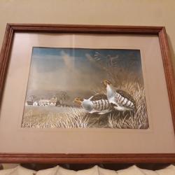 cadre perdrix, chasse ,nature, campagne