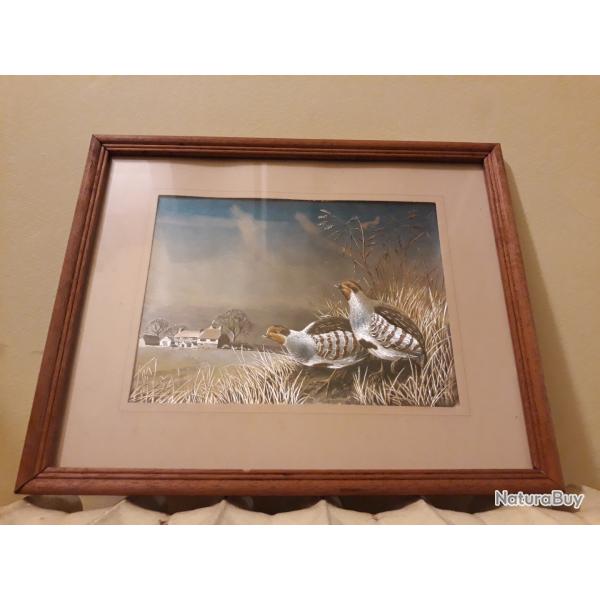 cadre perdrix, chasse ,nature, campagne