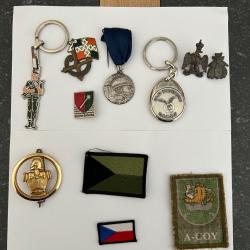 Insignes ( Rhin et Danube, génie) , portes clefs para au famas, BA 109, pin's aigle, médaille,patch