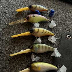 Illex Mascle deep Cranck