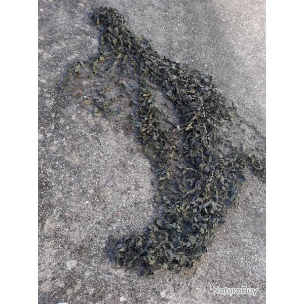 Ancien filet camouflage