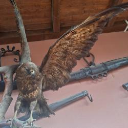 Lot héritage de mon père en bon état cherche nouvelle maison