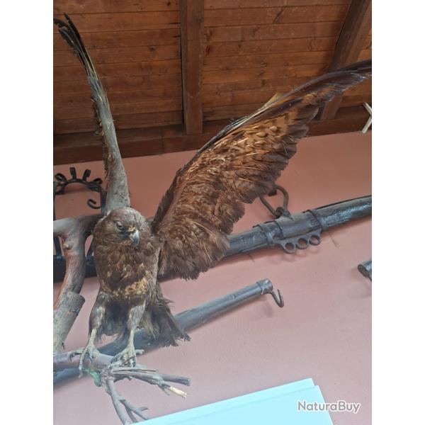 Lot hritage de mon pre en bon tat cherche nouvelle maison