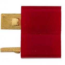 FICHE T-DEANS FEMELLE DOUBLE EAGLE