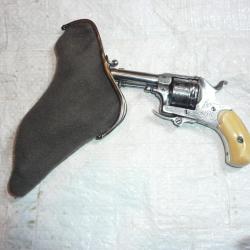 Luxueux 22 chort percution annulaire 6 coups.