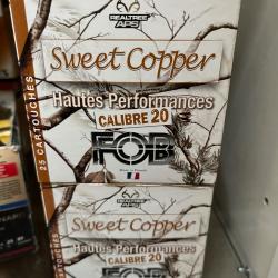 Lot 150 cartouches bille d acier et cuivre calibre 20