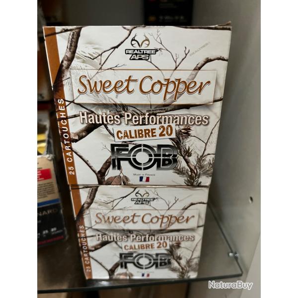 Lot 150 cartouches bille d acier et cuivre calibre 20