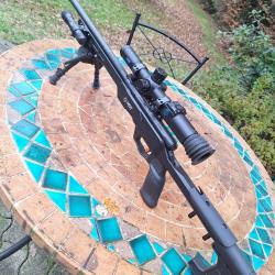 Savage B22 carabine de précision 22lr