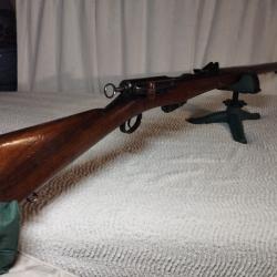 Schmidt Rubin 89 22LR