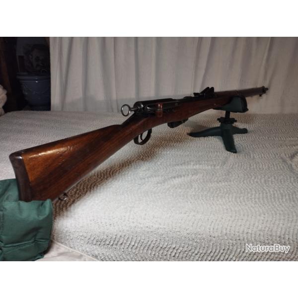 Schmidt Rubin 89 22LR