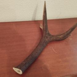 BOIS CERF 57CM COUTELLERIE BRICOLAGE CHIEN ARTISANAT