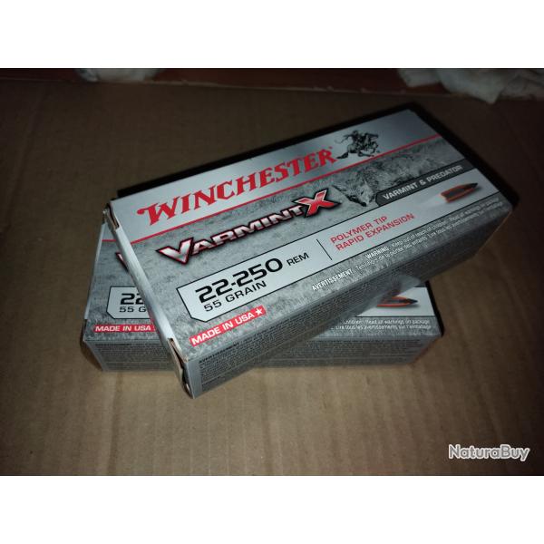 Balles calibre 22-250 remington