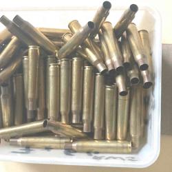 Douilles / etuis vides 7 x 64 Cineshot / RWS tirées 1 x