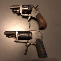 lot bulldog et velodog 1 e sans prix réserve