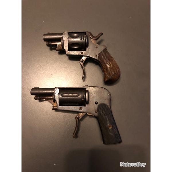 lot bulldog et velodog 1 e sans prix rserve