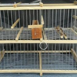 Cage à Piège à Oiseaux Artisanale à Répétition -  Contrôle pour petits et moyens oiseaux